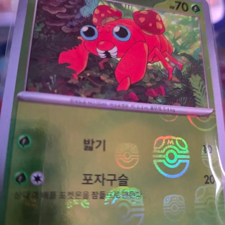 [BUNJANG] Parus Master Ball Card / 파라스 마볼 마스터볼카드