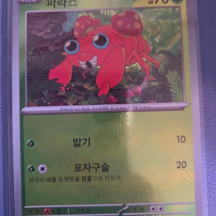 [BUNJANG] Parus Master Ball Card / 파라스 마볼 마스터볼카드