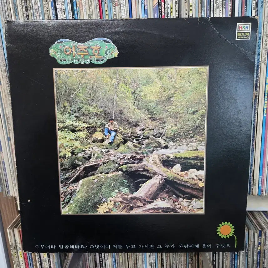 [BUNJANG] Lee Ju-ho LP Record / 이주호 lp판