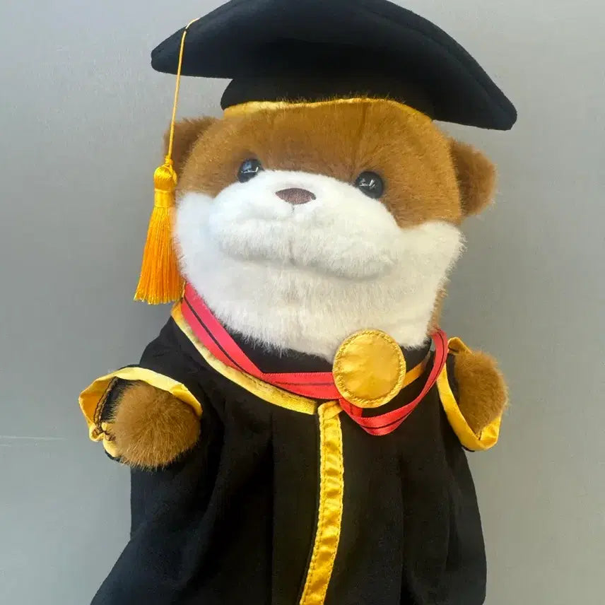 [BUNJANG] Graduation Cap Graduation Bear Doll / 졸업 축하 우소우소짱 학사모 인형