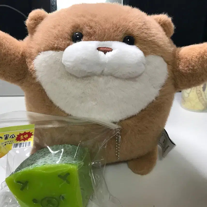 [BUNJANG] Woosoo Woosoochan Hug Me Plush Doll / 우소우소짱 안아줘요 인형