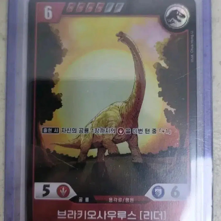 [BUNJANG] Jurassic World Card Bundle / 일괄 쥬라기월드 카드 팝니다