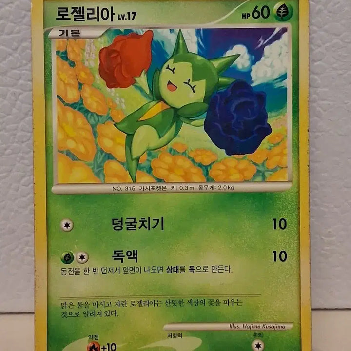 [BUNJANG] Pokemon Card 2010 DP Roselia Single Card / 포켓몬 카드 2010 DP 로젤리아 싱글카드
