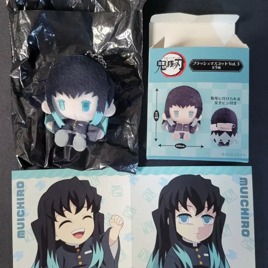 [BUNJANG] Demon Slayer: Kimetsu no Yaiba - Muichiro Tokito Plush Doll / [덤O] 귀멸의칼날 무이치로 플러시누이