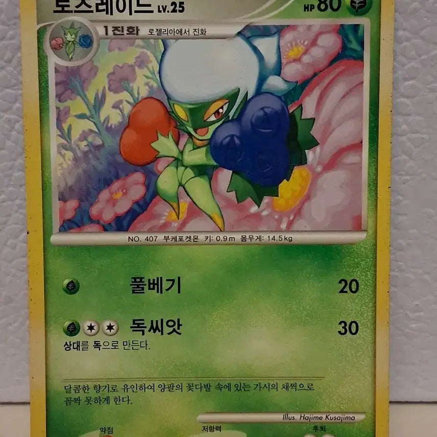 [BUNJANG] Pokemon Card 2010 DP Roserade LV.25 / 포켓몬 카드 2010 DP 로즈레이드 LV.25