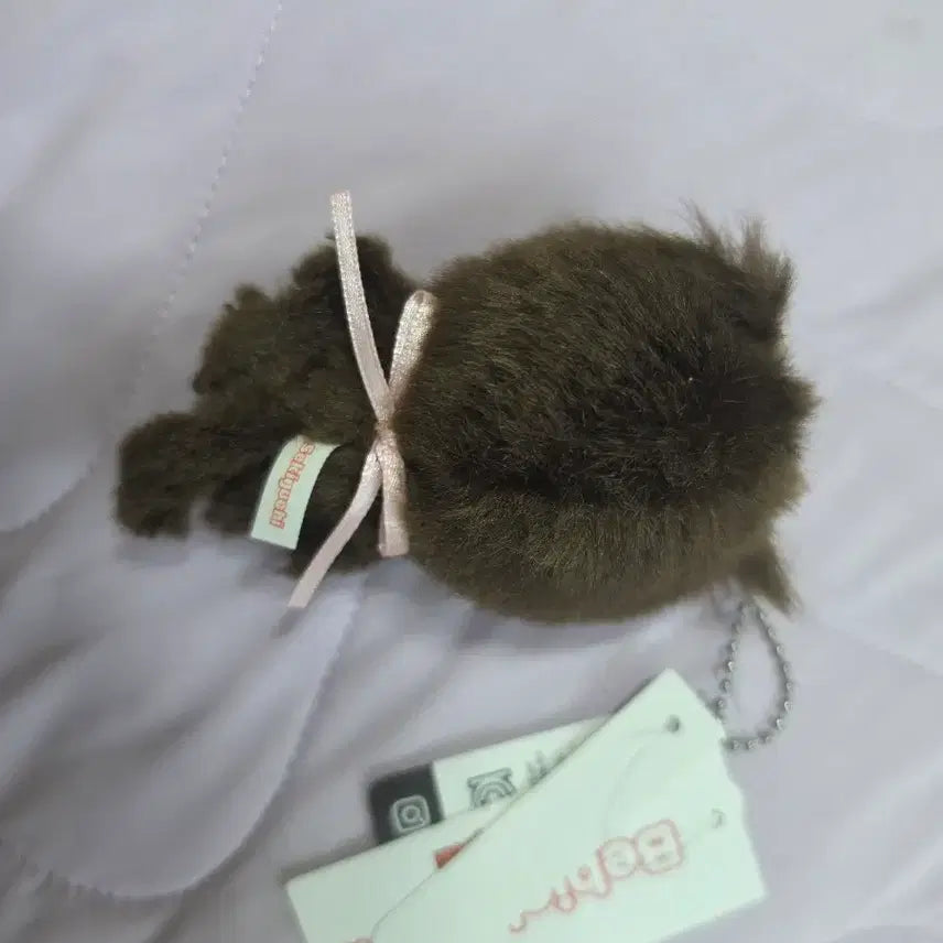 [BUNJANG] Babymonchichi Girl Plush Doll / 베이비몬치치 여아