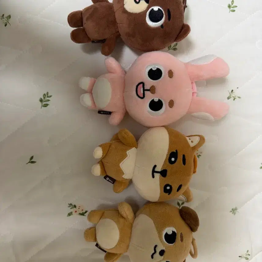 [BUNJANG] Day6 Denimals Bang Phil Kedon Plush / 데이식스 데니멀즈 방필케돈