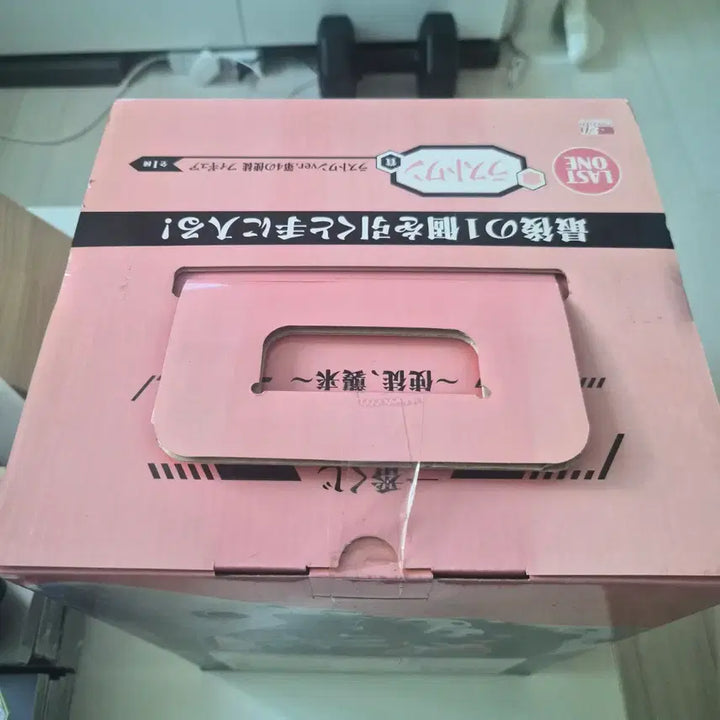 [BUNJANG] Evangelion Sachiel Last One Prize Figure (Sealed) / [미개봉] 제일복권 에반게리온 사키엘 라스트원상