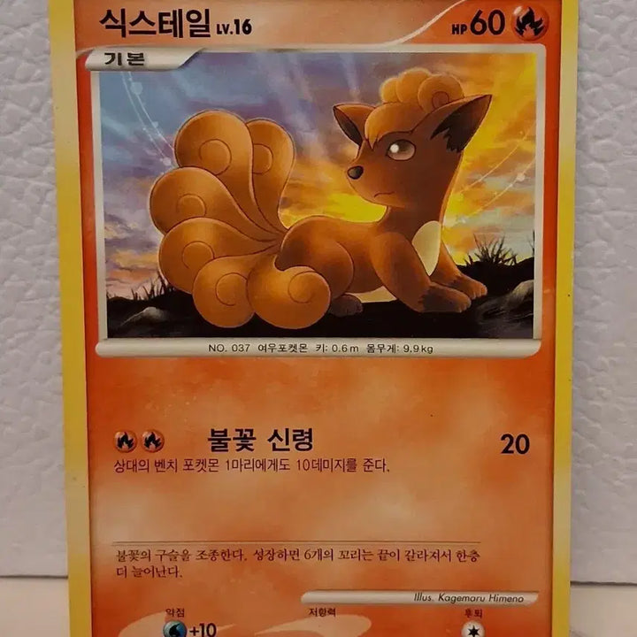 [BUNJANG] Pokemon Card 2010 DP Vulpix LV.16 10/55 / 포켓몬카드 2010  DP 식스테일 LV.16 10/55