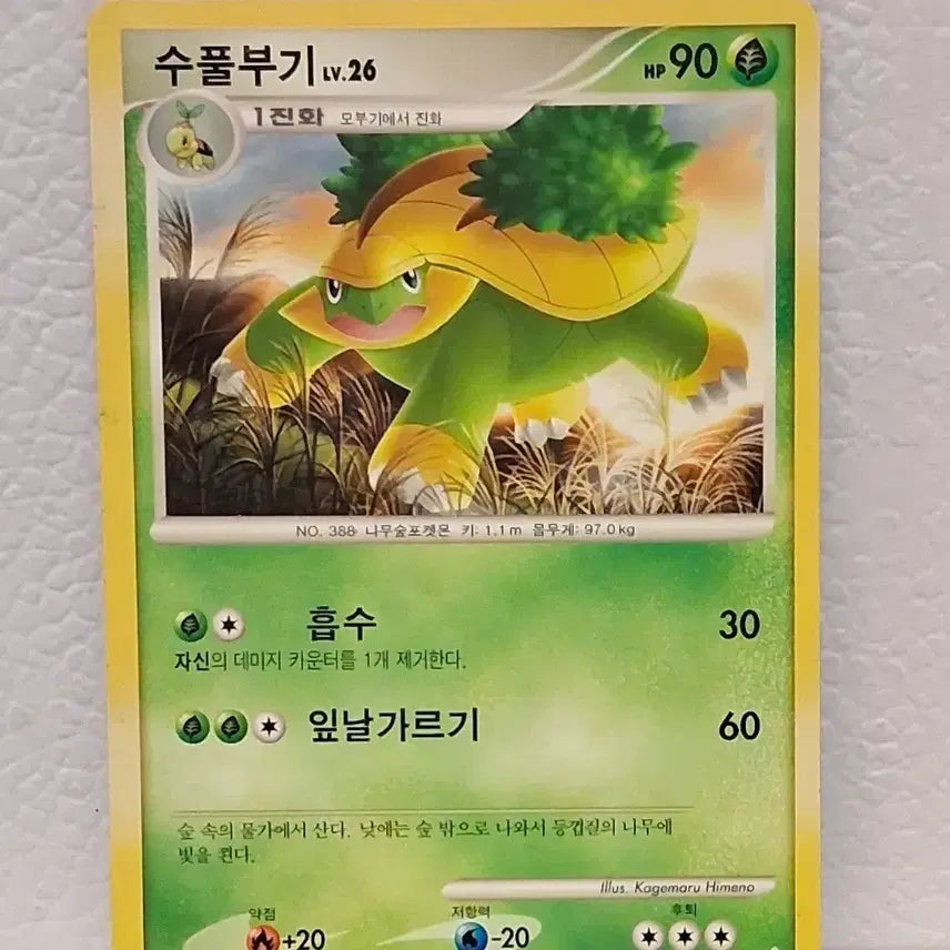 [BUNJANG] Pokemon Card DP Turtwig LV.26 / 포켓몬카드 2010 DP 수풀부기 LV.26