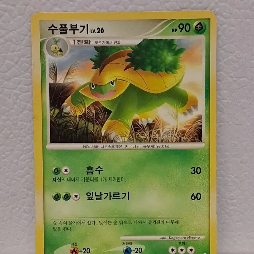 [BUNJANG] Pokemon Card DP Turtwig LV.26 / 포켓몬카드 2010 DP 수풀부기 LV.26