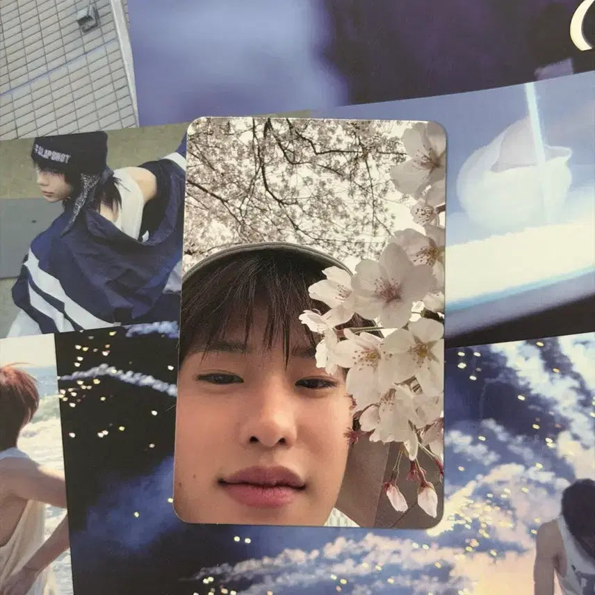 [BUNJANG] RIIZE Sohee A Ver. Cherry Blossom Photocard / 라이즈 riize ll 포토북 llog 앨범 소희 A버전 벚꽃 포카 포토카드