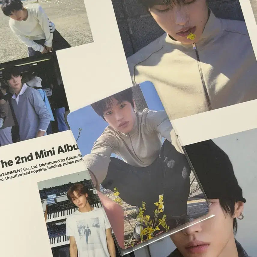 [BUNJANG] Riize Sohee Photocard B Ver. + Unsealed Photobook / 라이즈 ll riize 포토북 앨범 B버전 소희 포카 포토카드 판매