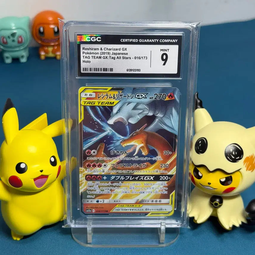 [BUNJANG] Pokémon Japanese Tag Team Reshiram &amp; Charizard GX / 포켓몬 일판 태그팀 레시라무&amp;리자몽 GX