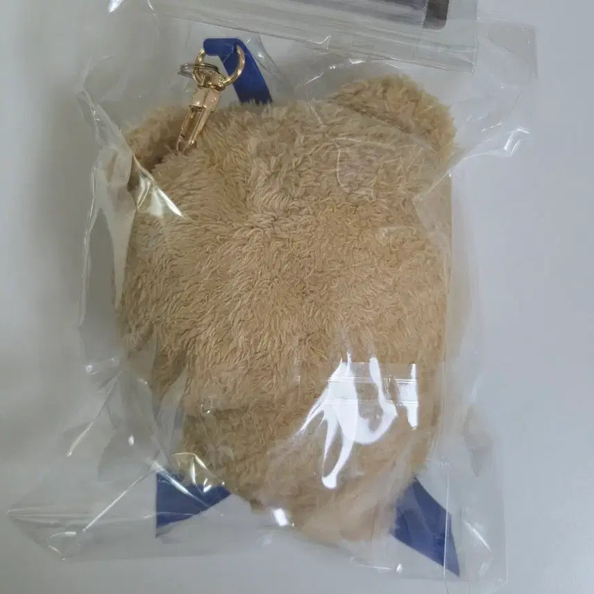 [BUNJANG] Chiikawa Hachiware Kirameko Teddy Bear Plush / 치이카와 하치와레 키라메코 테디베어 인형