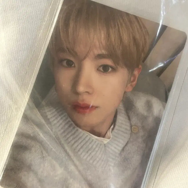 [BUNJANG] NCT WISH 2nd Anniversary Fanmeeting Yushi T-shirt + Photocard Set / (단순개봉) 엔시티위시 2주년 팬미팅 유우시 티셔츠+포카 원가양도