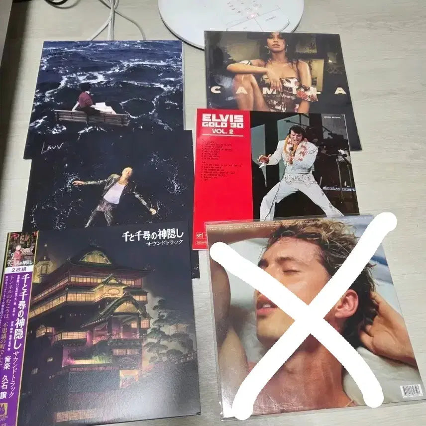 [BUNJANG] Various Artists Bundle Set LP Collection / 새소년, 트로이시반, 카밀라카베요, 엘비스프레슬리, 라우브, 센과치히로 LP