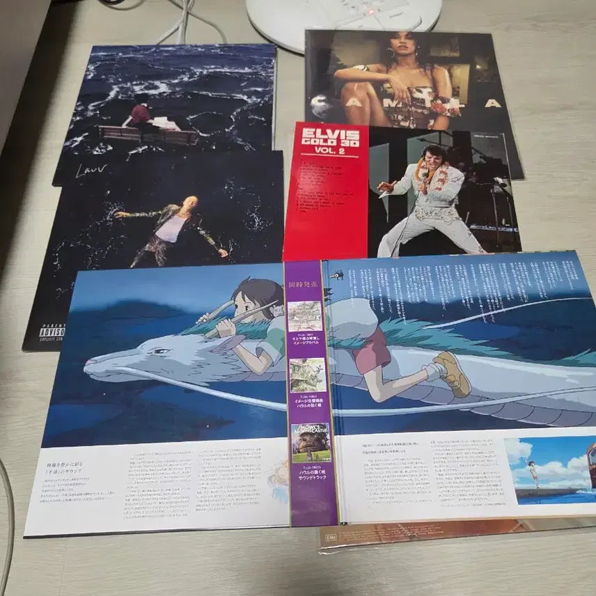 [BUNJANG] Various Artists Bundle Set LP Collection / 새소년, 트로이시반, 카밀라카베요, 엘비스프레슬리, 라우브, 센과치히로 LP