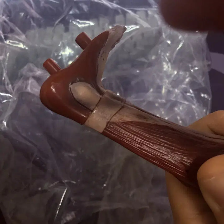 [BUNJANG] Attack on Titan Female Titan Figure / 진격거인 여성형 거인 피규어