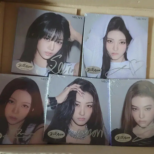 [BUNJANG] Blackpink Signed Album Bundle Set (5 Members) / meovv 5인 싸인 앨범 일괄 미야오 meovv 블랙핑크 blackpink 친필 싸인 앨범