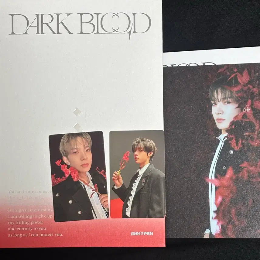 [BUNJANG] Enhypen Dark Blood Heeseung Sunghoon Photocard Set / 엔하이픈 다크 블러드 풀구성 양도 희승 성훈 포카