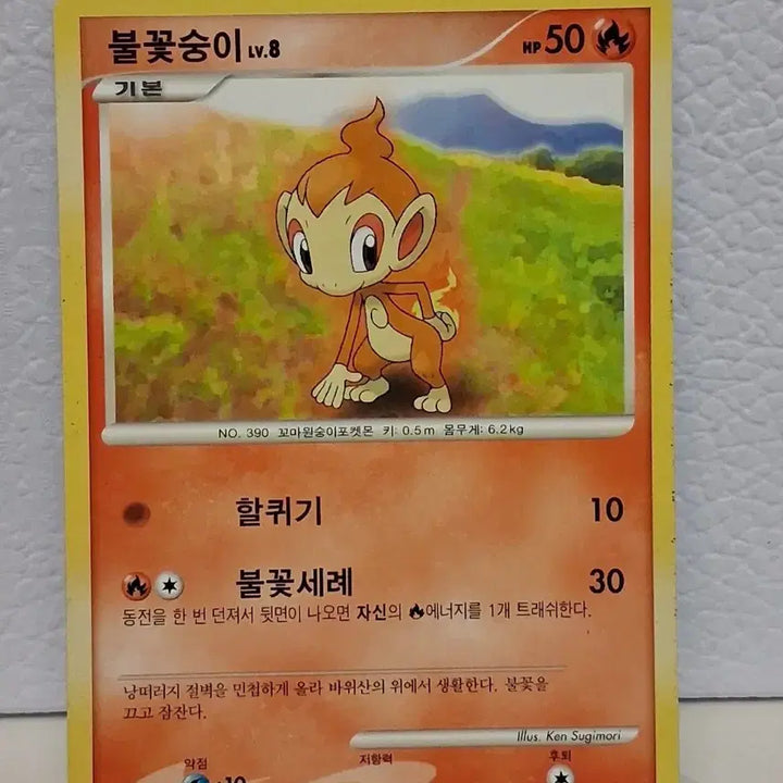 [BUNJANG] Pokemon Card 2010 DP Infernape 16/55 / 포켓몬카드 2010 DP 불꽃숭이 16/55