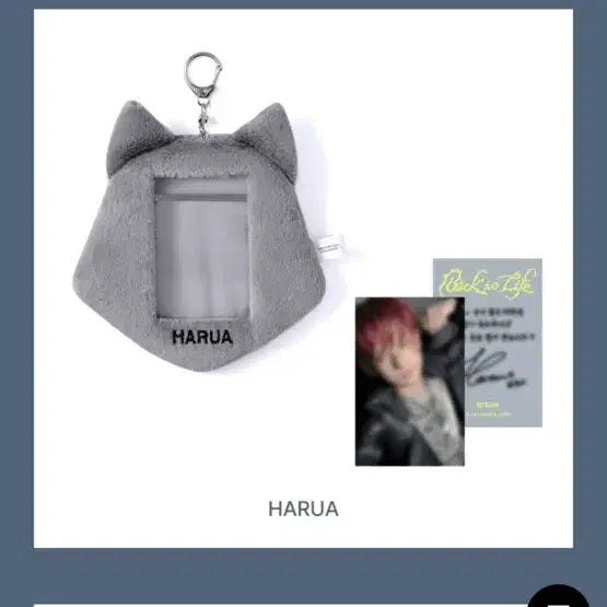 [BUNJANG] ENHYPEN Harua Photocard Holder / 앤팀 하루아 포토카드 홀더 판매(포카포함)