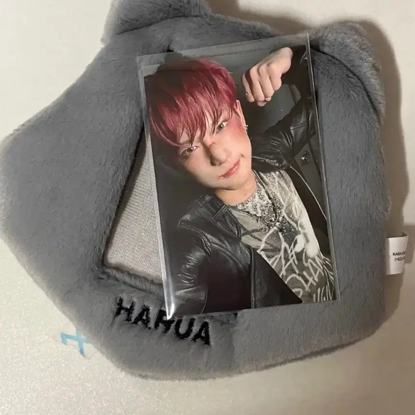 [BUNJANG] ENHYPEN Harua Photocard Holder / 앤팀 하루아 포토카드 홀더 판매(포카포함)