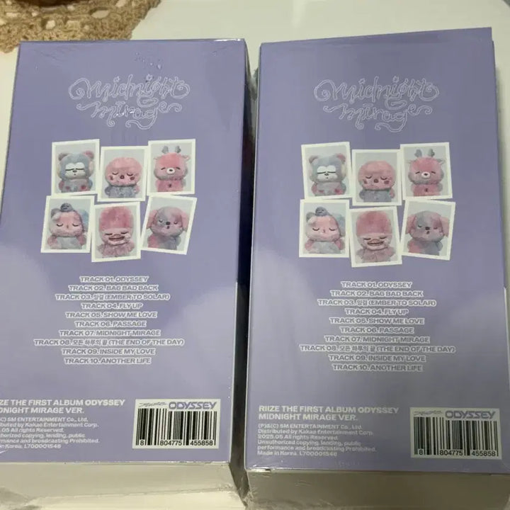 [BUNJANG] RIIZE Midnight Voice Keychain - "Ttolbyeong" / 라이즈 미드나잇 보이스키링 똘병
