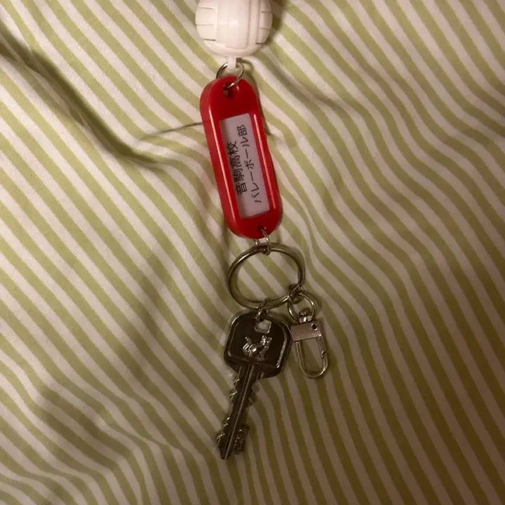 [BUNJANG] Haikyuu Nekoma Keychain / 하이큐 부실 키링 네코마