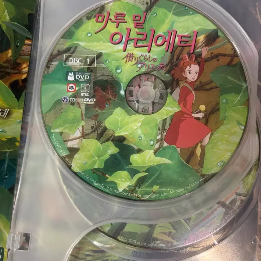 [BUNJANG] Studio Ghibli Arrietty The Secret World of Arrietty DVD Unsealed / 마루밑아리에티 DVD 지브리 (미사용 개봉)
