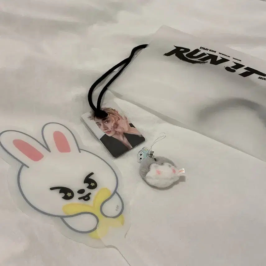 [BUNJANG] Stray Kids Concert Limited Photocard Bundle / 스트레이키즈 콘서트 막막 8/2 입장포카 기프트 판매