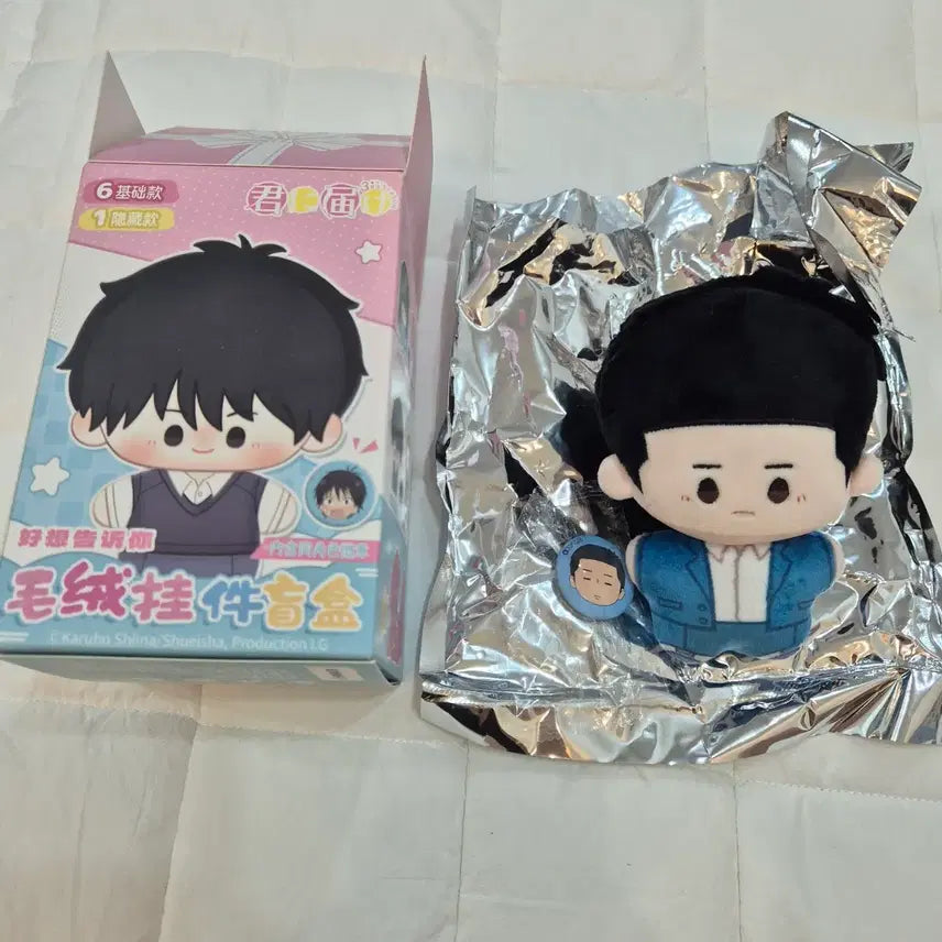 [BUNJANG] To Your Eternity Ryu Doll and Badge Set / 너에게닿기를 누이/ 류
