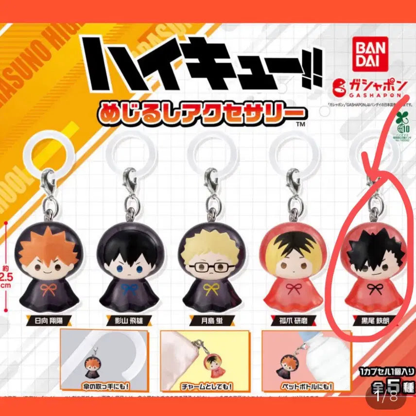 [BUNJANG] Haikyuu!! Mezurushi Kuroo Tetsurou Sealed Product / 하이큐 메지루시