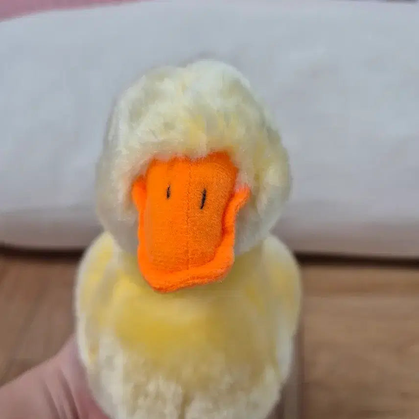 [BUNJANG] Cute Duck Plush Toy / 오리인형