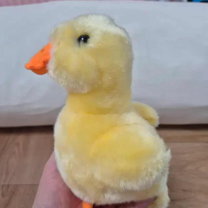 [BUNJANG] Cute Duck Plush Toy / 오리인형