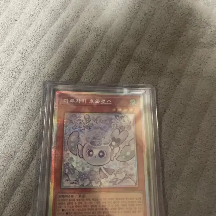 [BUNJANG] Maruchami Fuwaros Trading Card / 마루샤미 후와로스 프싴카드