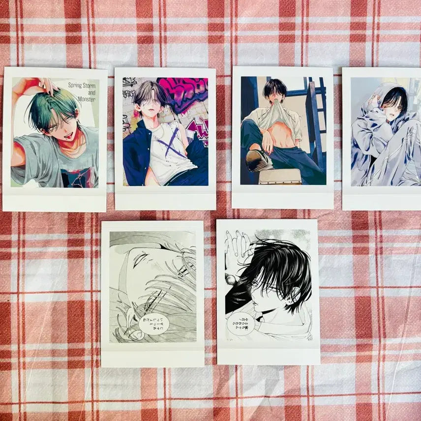 [BUNJANG] Miyuki Mitsubachi Spring Storm and Monsters Pashacore Bundle Set / 미츠바치 미유키 봄의 폭풍과 몬스터 파샤코레 일괄