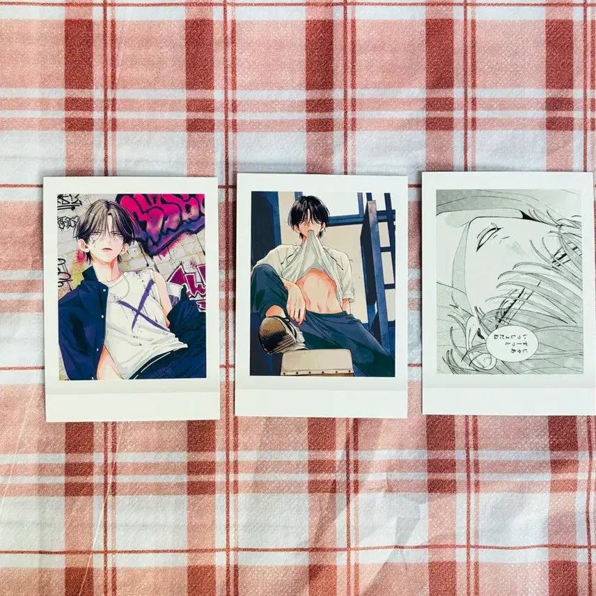 [BUNJANG] Miyuki Mitsubachi Spring Storm and Monsters Pashacore Bundle Set / 미츠바치 미유키 봄의 폭풍과 몬스터 파샤코레 일괄2