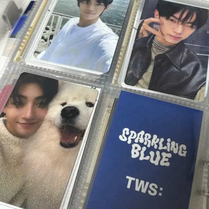 [BUNJANG] TWS Dohoon Youngjae Jihoon Shinyu Photocard Bundle Set / 투어스 도훈 영재 지훈 신유 포토카드 일괄 판매
