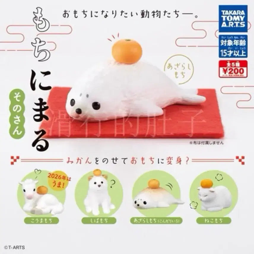 [BUNJANG] Mochinimaru Gacha Figure Set / 모찌니멀가챠