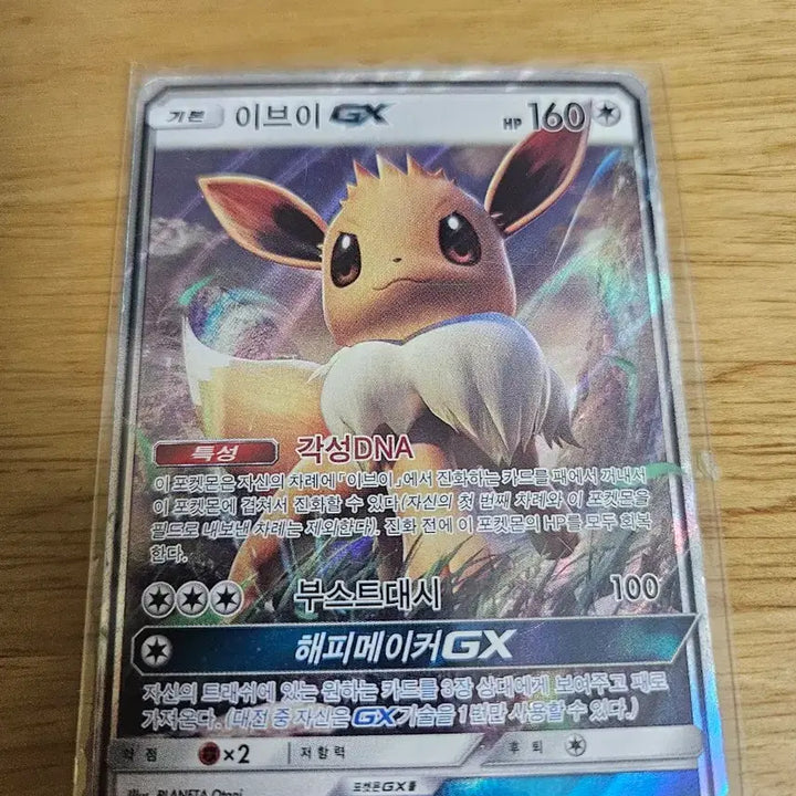 [BUNJANG] Pokemon Card Raflessia GX / Eevee GX Bundle / 급처)포켓몬카드 라플레시아 GX / 이브이 GX
