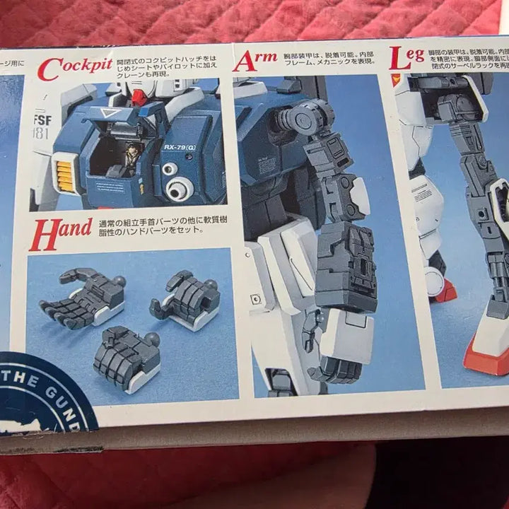 [BUNJANG] Bandai MG Gundam RX-79[G] E.F.S.F. 081 Plastic Model Kit / 반다이 MG 건담 RX-79[G] E.F.S.F. 081