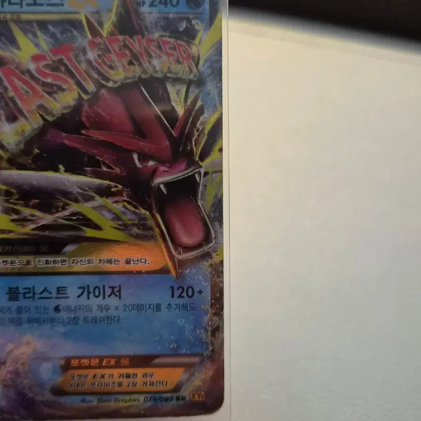 [BUNJANG] Pokemon Card Gyarados ex / 포켓몬카드 m갸라도스 ex
