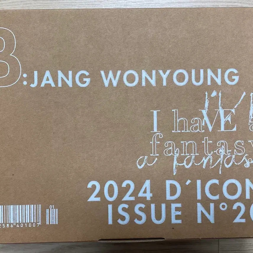 [BUNJANG] IVE Jang Wonyoung Dicon 2024 B Photocard / 아이브 장원영 디아이콘 2024 B