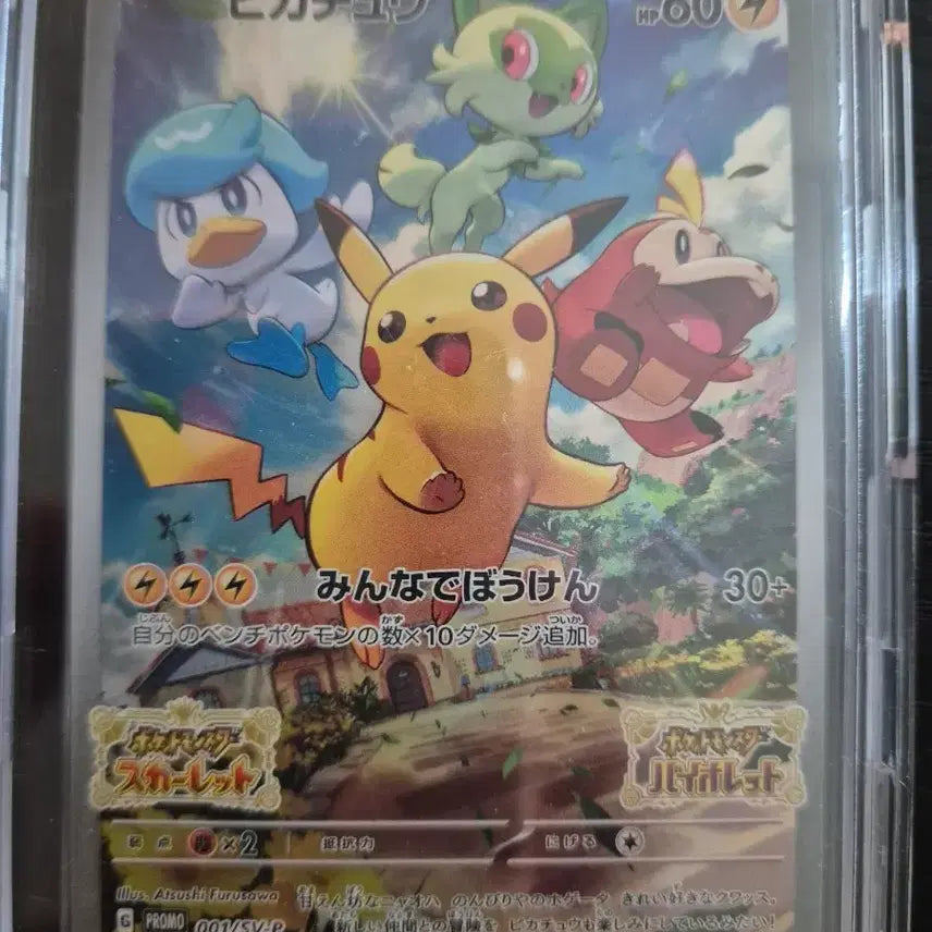 [BUNJANG] Svbachu Pokemon Trading Card Game Sealed Pack / 스바츄 미개봉 팩 판매합니다