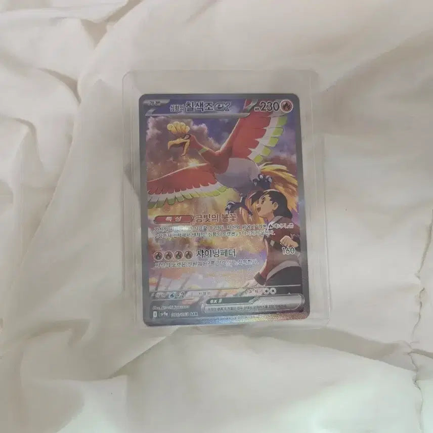 [BUNJANG] SAR Graded Card / 심향의 칠색조 SAR 등급용