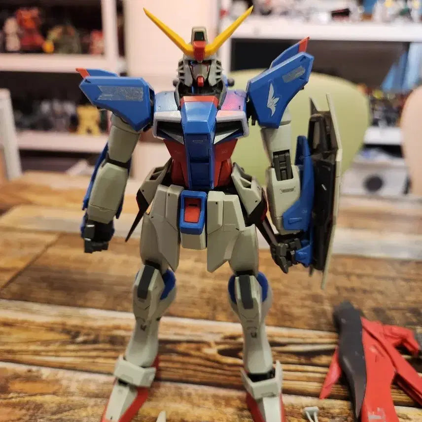 [BUNJANG] MG Destiny Gundam Model Kit / MG 데스티니 건담