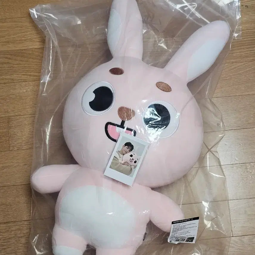 [BUNJANG] DAY6 GIANT DENIMALS PIL Photocard / 데이식스 자이언트 데니멀즈 필 PIL