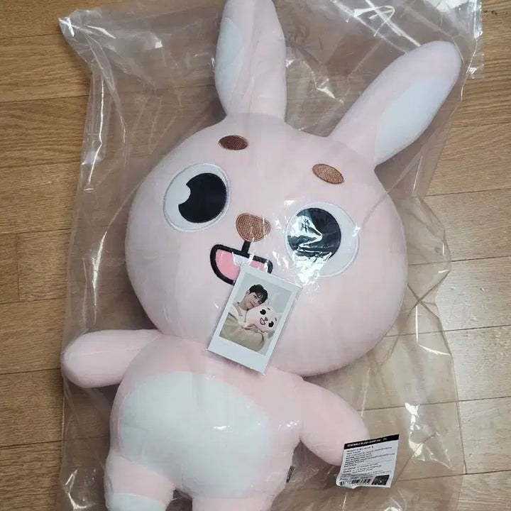 [BUNJANG] DAY6 GIANT DENIMALS PIL Photocard / 데이식스 자이언트 데니멀즈 필 PIL